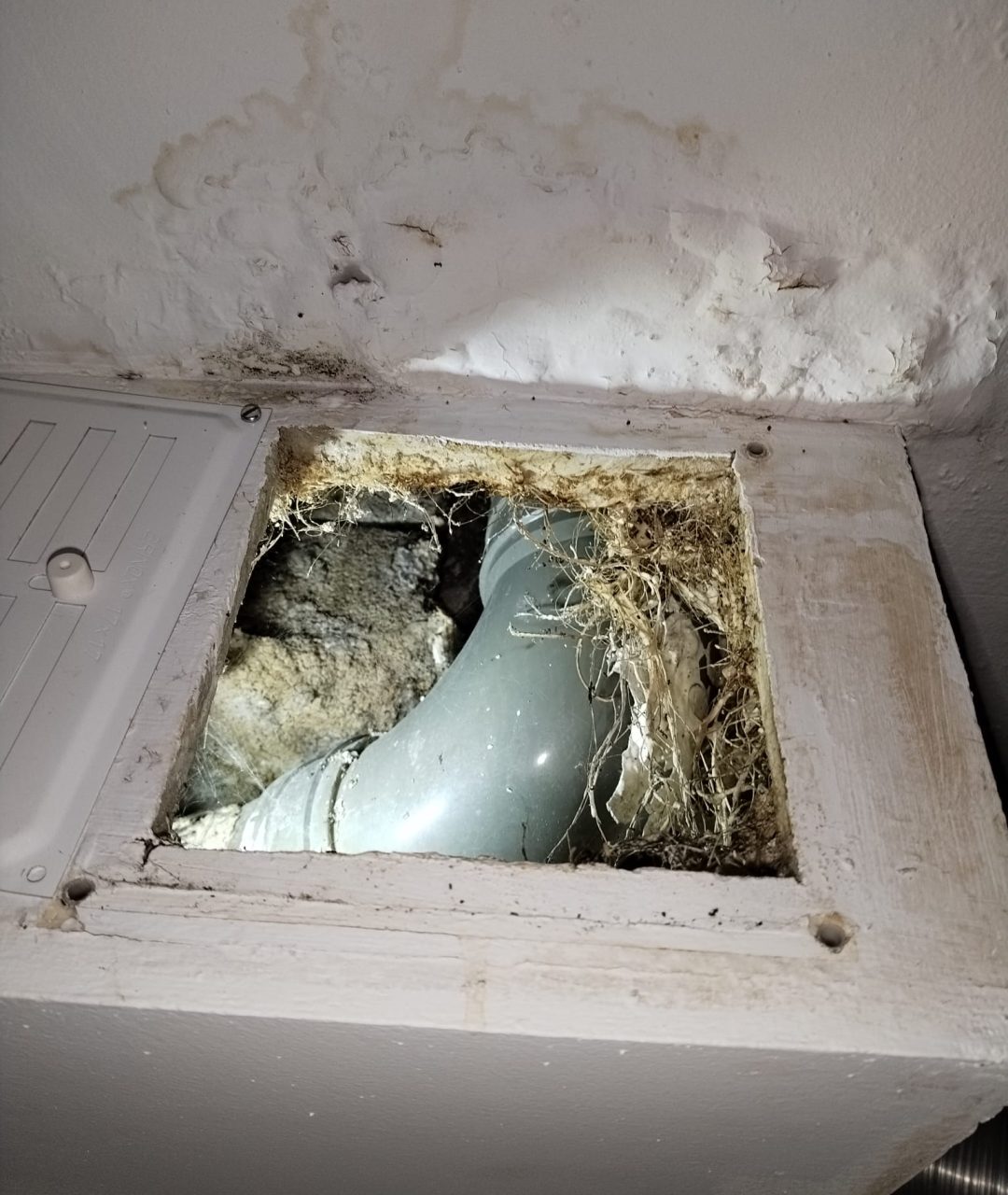 bano-azulejo-marmol-06